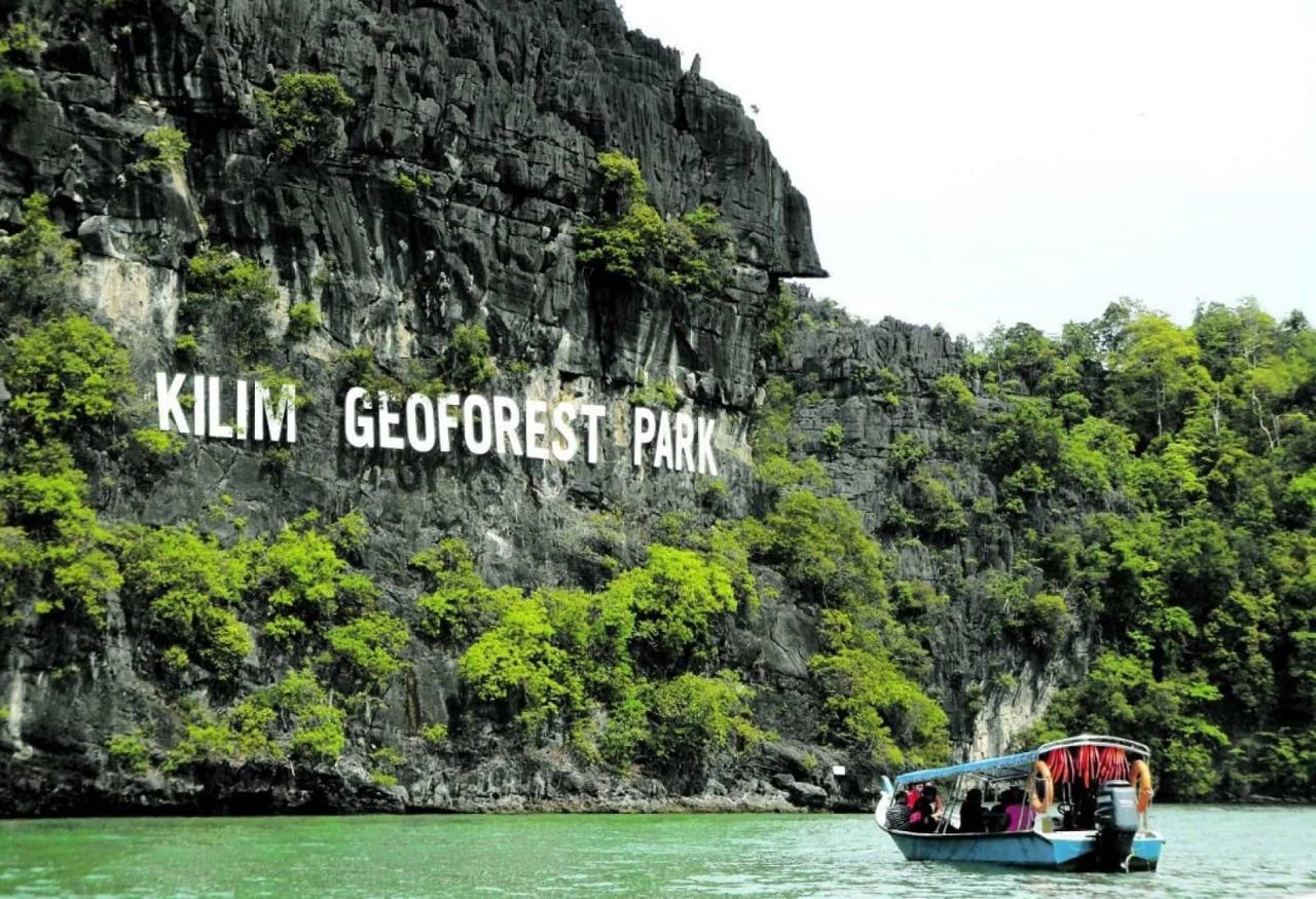 Jelajahi Hutan Bakau Langkawi yang Menakjubkan dengan Mangrove Tour